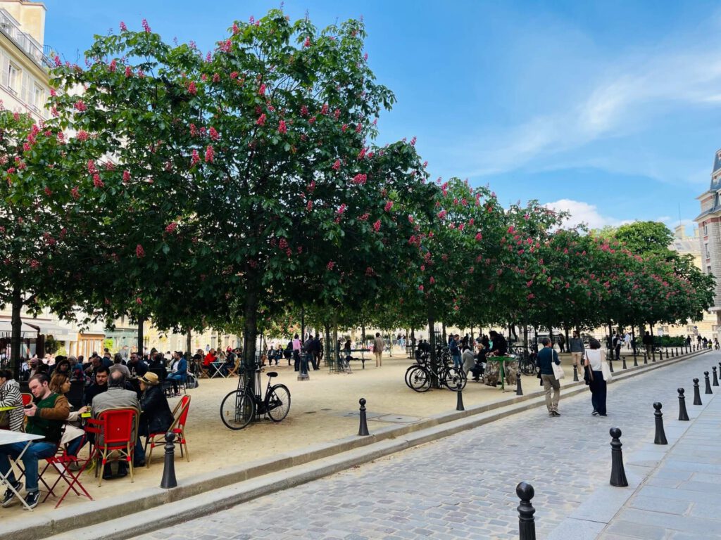 Ontdek de charme van Place Dauphine in Parijs