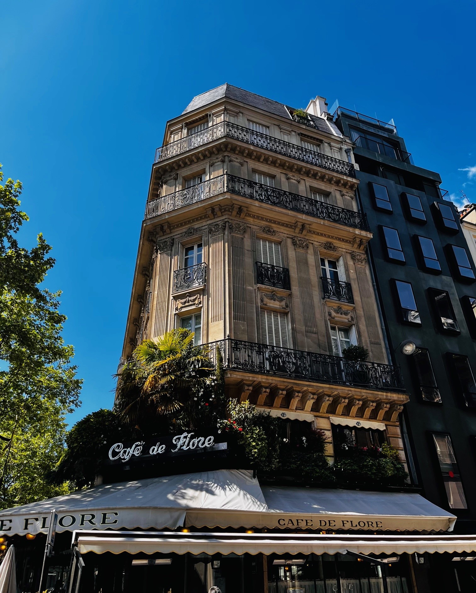 15 Feitjes over Café de Flore in Parijs