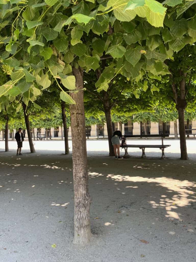 Jardin du Palais Royal: een oase in het hart van Parijs