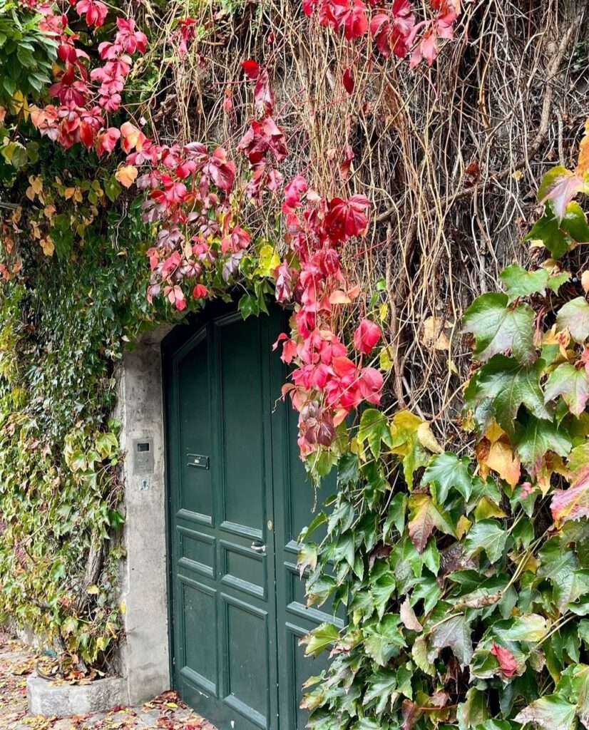 Montmarte in herfstkleuren