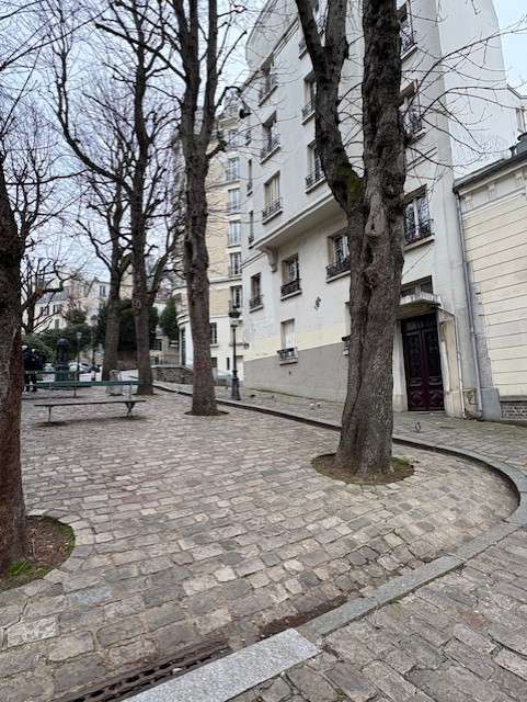 Sfeervol Montmartre in de winter